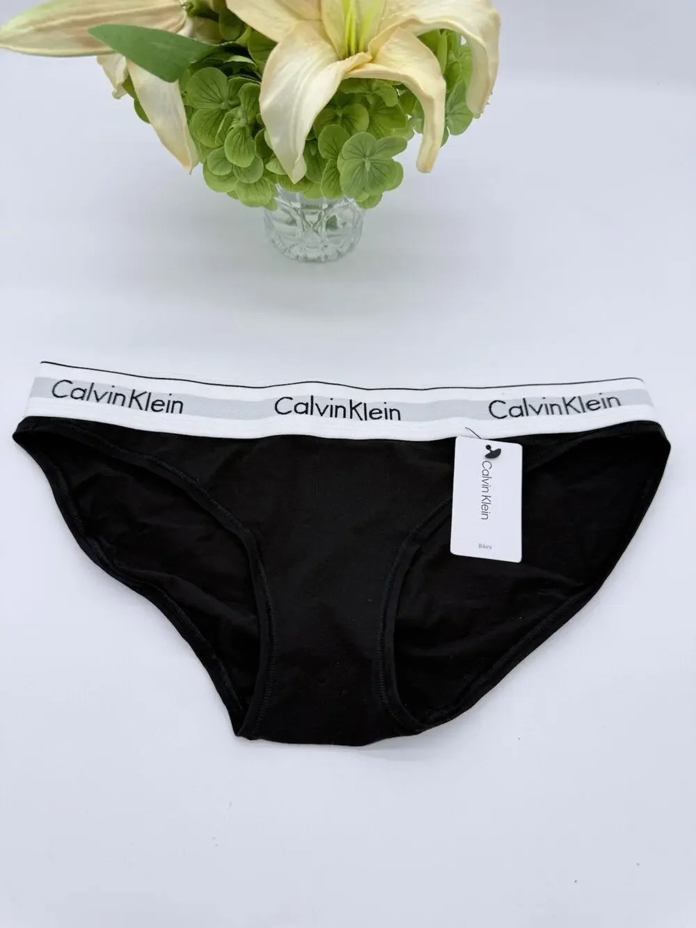 Calvin Klein Women's Modern Cotton Bikini f3787 S